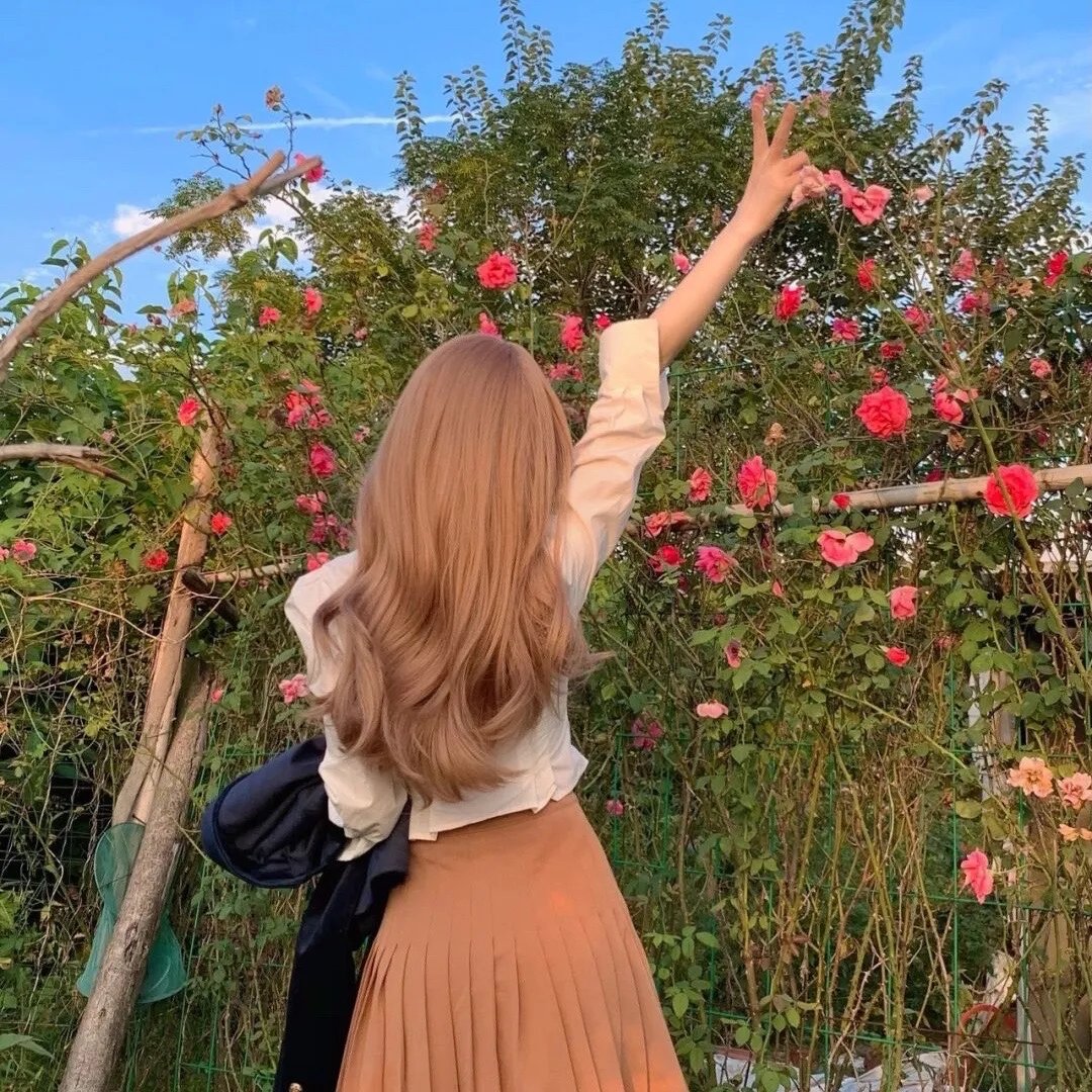蜂巢的幽灵