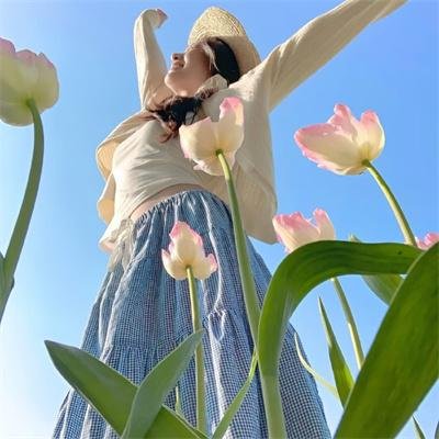 天堂岛疑云第十季