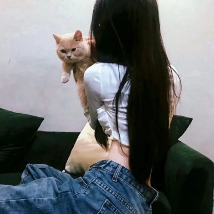 我不为父歌唱